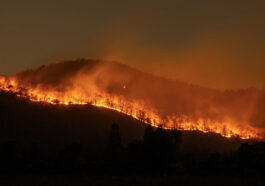 Incendio forestal