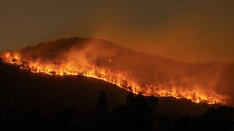 Incendio forestal