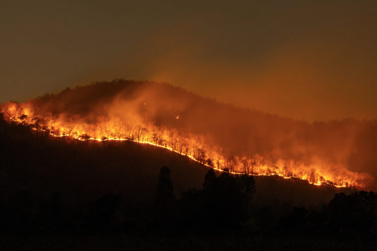 Incendio forestal